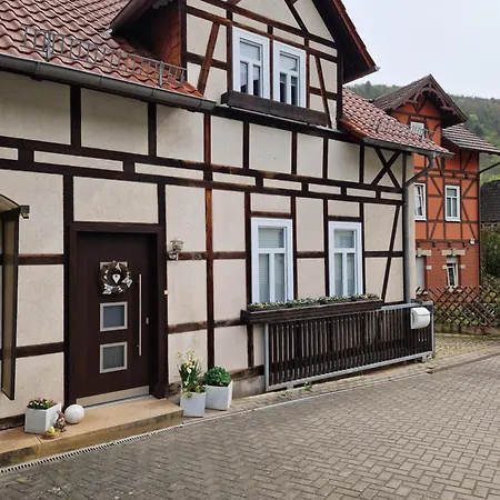 Ferienhaus Reschwitzer Auszeit Saalfeld Saale Extérieur photo
